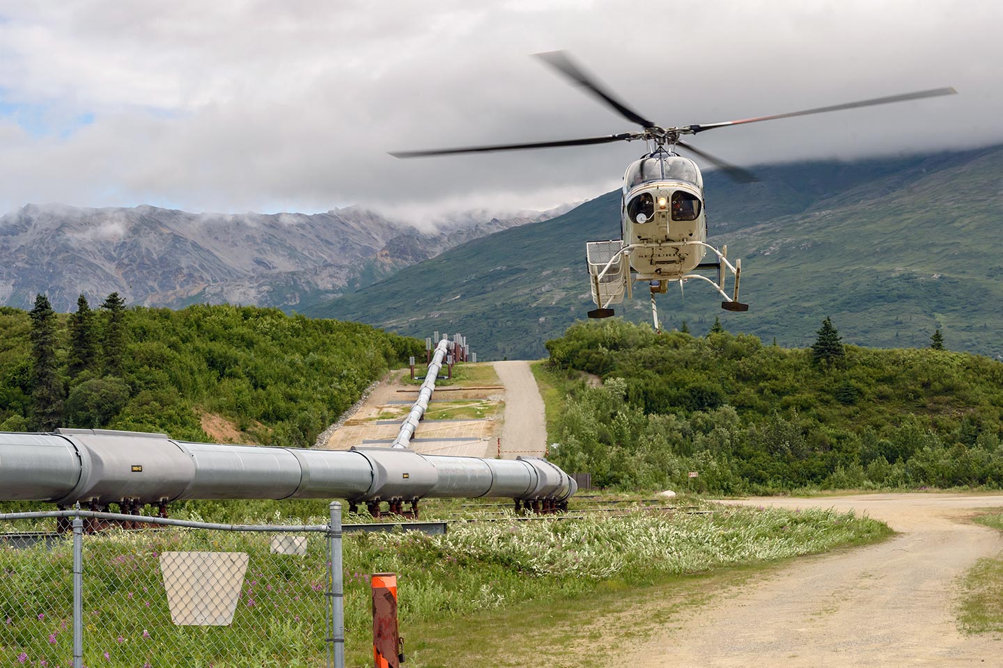 Pipeline Surveys in Tennessee